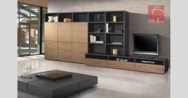 Wonderful Contemporary Living Room Furniture Ideas
