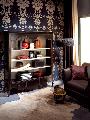 Bookcase books sofa carpet